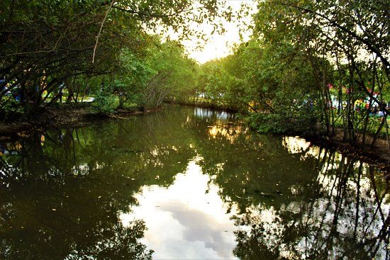 Parque Espiritu Del Manglar